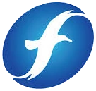 Fujian Media Group